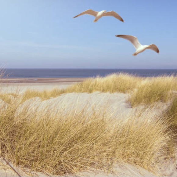 Vintage Otagiri Seagull Irish Coffee Style Pedestal Mug - Picture 7 of 7